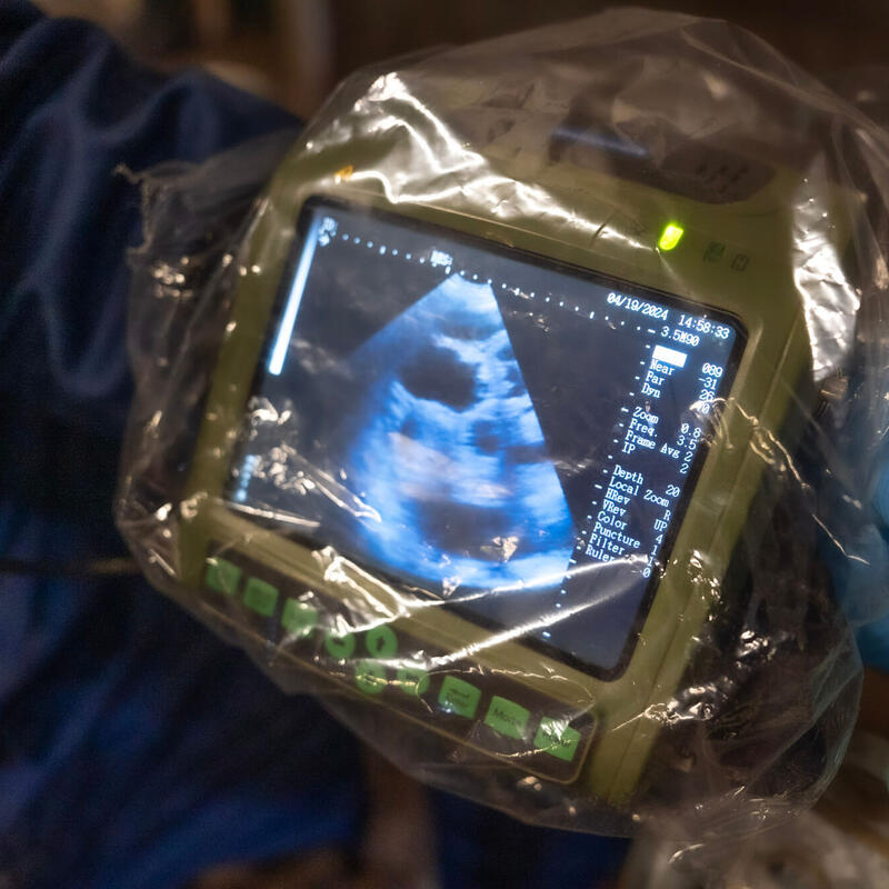 Scannen, insemineren en verkoop van KI-materiaal