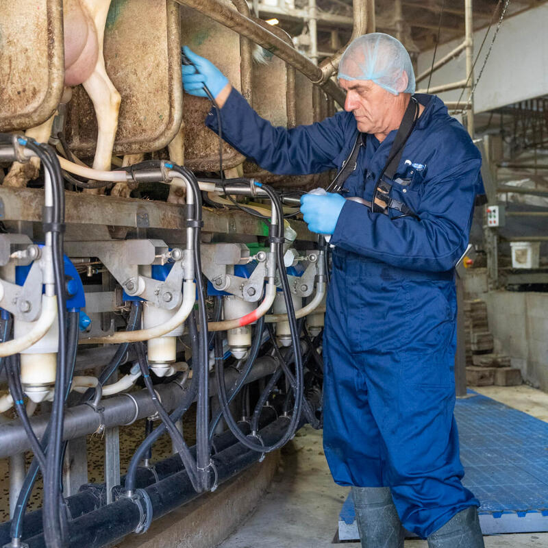 Scannen, insemineren en bedrijfs-KI