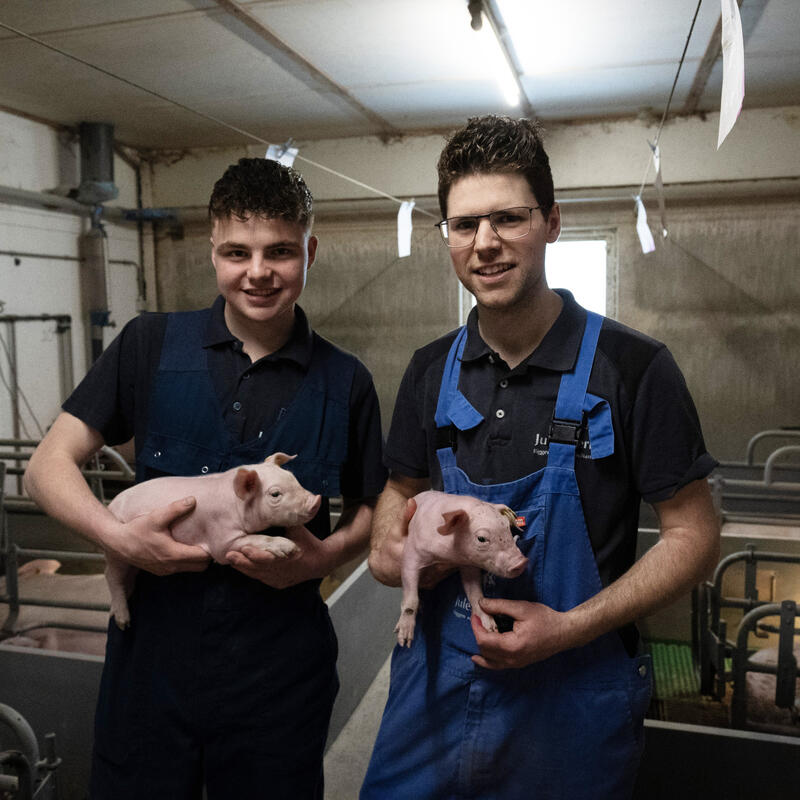 Scannen, insemineren en verkoop van KI-materiaal