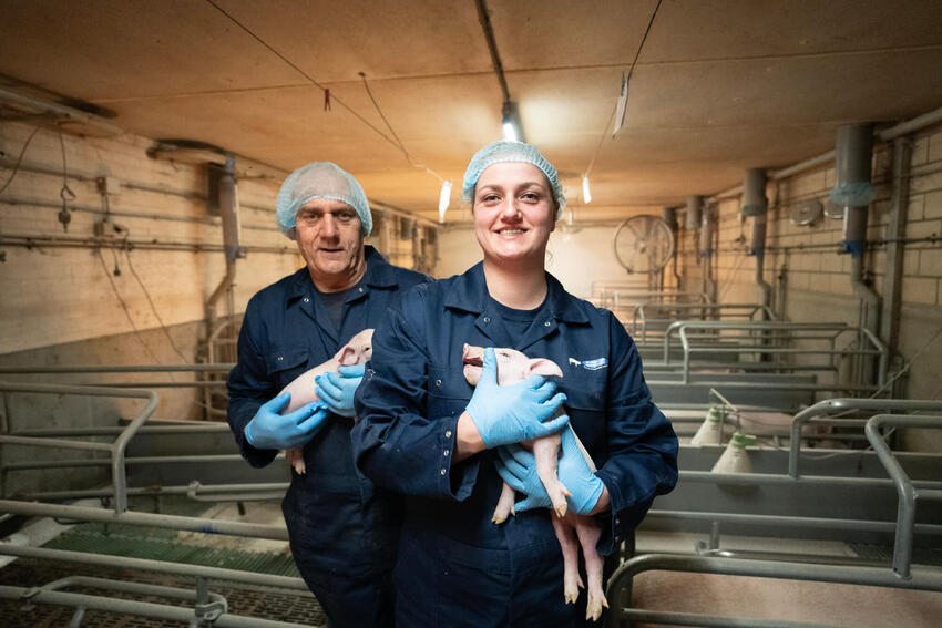 Totaalpakket aan bedrijfs-KI
